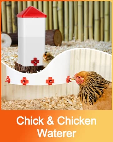 Chick Brooder Heater with Anti-Roost Cone and Constant Temp Red 12" x 12" — collection imagery