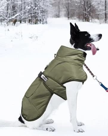 Dog Backpack for Small Dogs to Wear — collection imagery