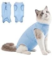 Dog Backpack for Small Dogs to Wear — collection imagery