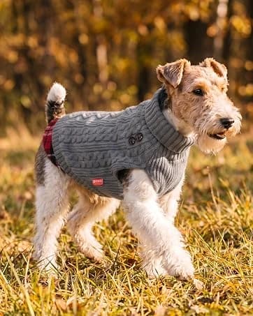 Dog Cooling Vest Evaporative Dog Cooler Jacket for Summer Outdoor — collection imagery
