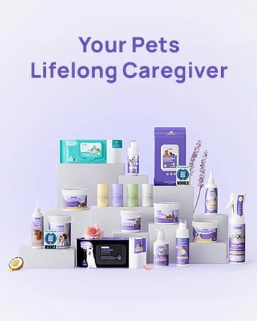 Dog Wipes for Dogs and Cats — Glove Design — collection imagery