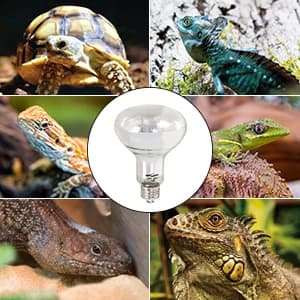 Full Spectrum UVA + UVB Sun Lamp Self-Ballasted Vapor Lamp/Bulb/Light for Reptile and Amphibian Use — collection imagery