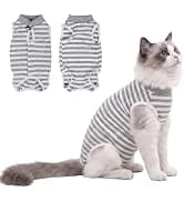 Dog Backpack for Small Dogs to Wear — collection imagery