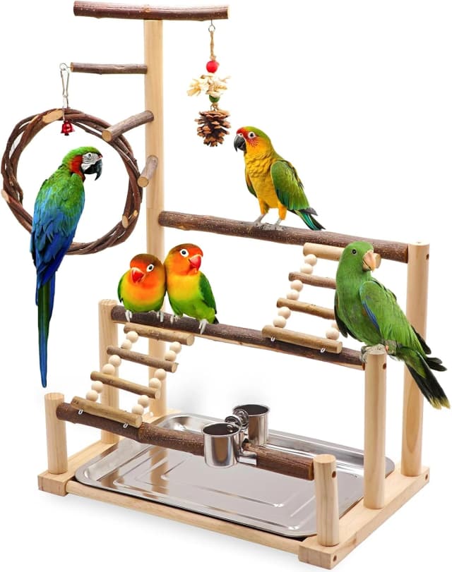 Bird Playground Wooden Parrot Stand for Small and Medium Birds