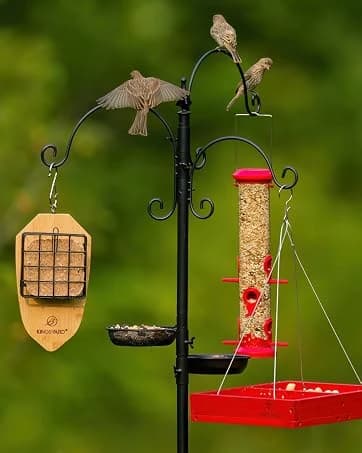 Metal Bird Feeders for Outdoors Hanging — collection imagery