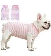 Dog Backpack for Small Dogs to Wear — collection imagery