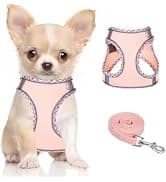 Dog Backpack for Small Dogs to Wear — collection imagery