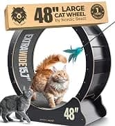 48'' XL Cat Wheel β Safe, Quiet and Stable Exercise Wheel for Large Indoor Cats up to 45 lbs β 15.7'' β collection imagery