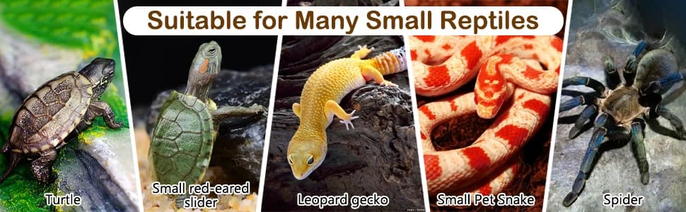 Turtle Basking Platform Baby Tortoise Climbing Ramp Shale Reptiles Dock Resting Terrace Stone Aquarium Ornament — collection imagery