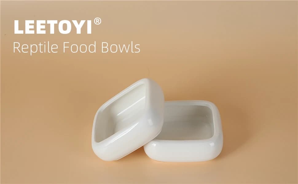 Ceramic Reptile Food Bowls — Reptile Water Food Dish — product details