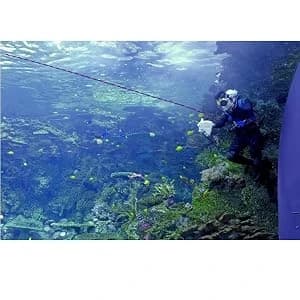 Standard Threaded Bulkhead Kit for Fish Aquariums – High-Impact Resistant PVC – Includes Bulkhead Fitting — product details