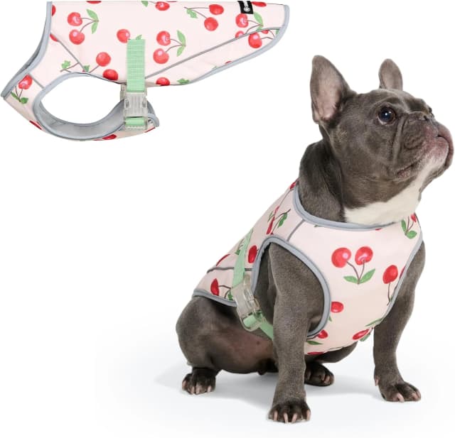 Dog Cooling Vest - Evaporative Summer Cooling