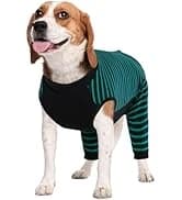 Dog Surgery Recovery Suit — Surgical Suit for Dogs Male Female — collection imagery