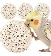 Bird Toys Sola Balls 2.36'' - 6PCS — Bird Foraging Toy — collection imagery