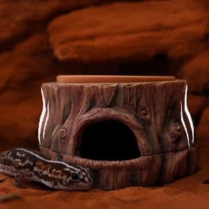 3 in 1 Reptile Hide Cave with Detachable Base and Humidity Dish — collection imagery