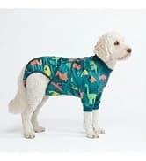 Dog Cooling Vest - Evaporative Summer Cooling — collection imagery