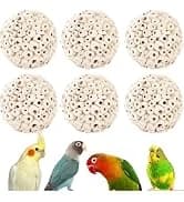 Bird Toys Sola Balls 2.36'' - 6PCS — Bird Foraging Toy — collection imagery