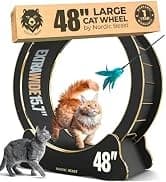 48'' XL Cat Wheel β Safe, Quiet and Stable Exercise Wheel for Large Indoor Cats up to 45 lbs β 15.7'' β collection imagery