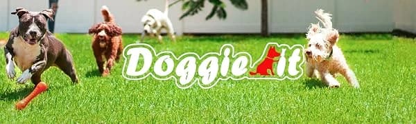Dog Backpack for Small Dogs to Wear — product details