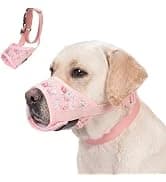 Dog Backpack for Small Dogs to Wear — collection imagery