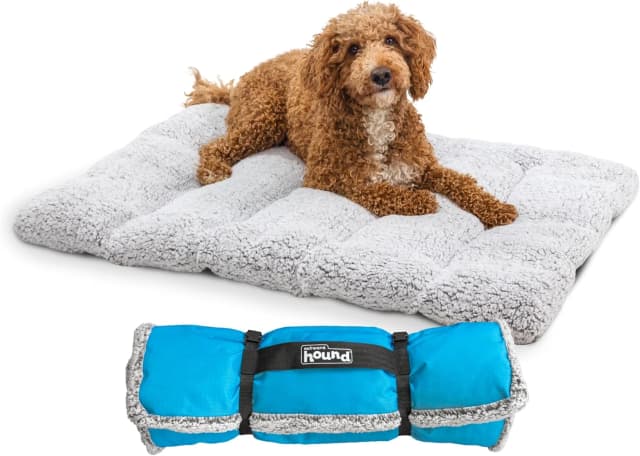 On-The-Go Travel Dog Bed — Portable Roll-Up Mat with Buckle