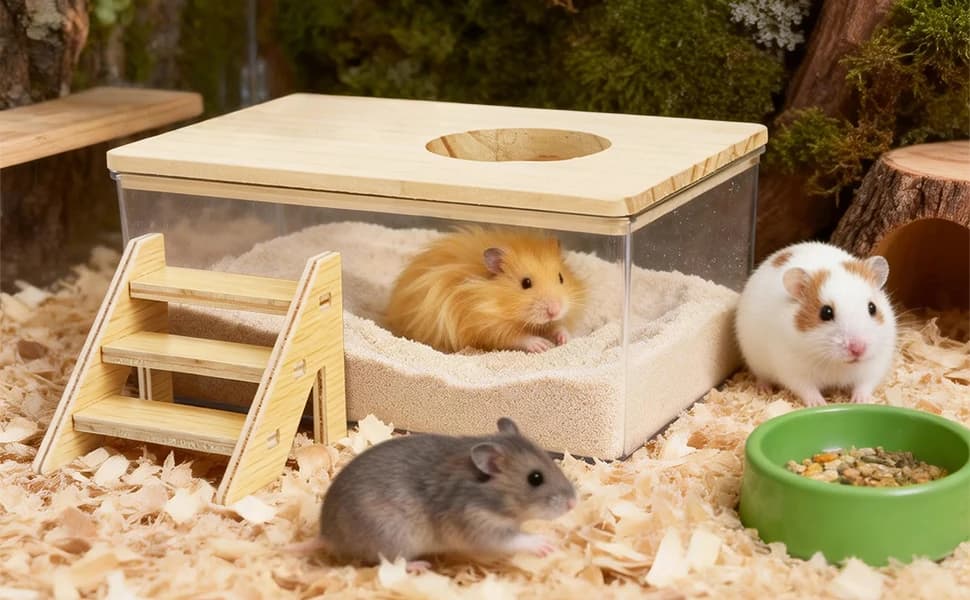 Hamster Sand Bath Box with Wood Cover — Hamster Sand Bath Box with Wood CoverColoch Hamster Sand Bath Box with Wood Cover
