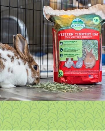 Eco Straw Rabbit Litter Pellets — collection imagery