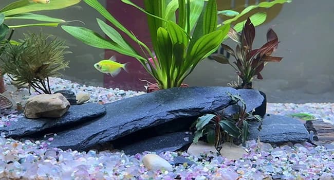 Slate Rock for Aquarium — 5-7 Inch Polished Natural Stone Rocks — Wide Applications