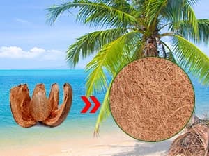 10 Pcs Reptile Carpet 12x12 Inch Coconut Fiber Mat for Tank Bedding โ 100% Natural Coconut Fiber