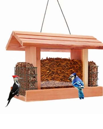Squirrel-Proof Cedar Hopper Bird Feeder — collection imagery