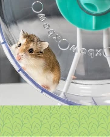 Eco Straw Rabbit Litter Pellets — collection imagery