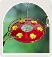 Metal Bird Feeders for Outdoors Hanging — collection imagery
