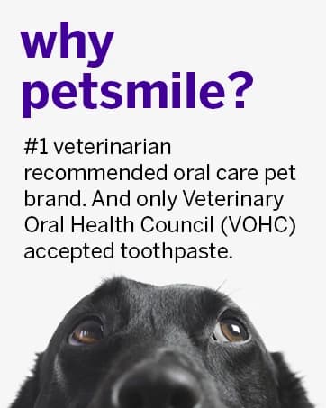 Professional Pet Toothbrush — 45° Cats + Dogs — collection imagery