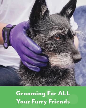 Flexible Rubber-Nodule Pet Grooming Gloves — collection imagery