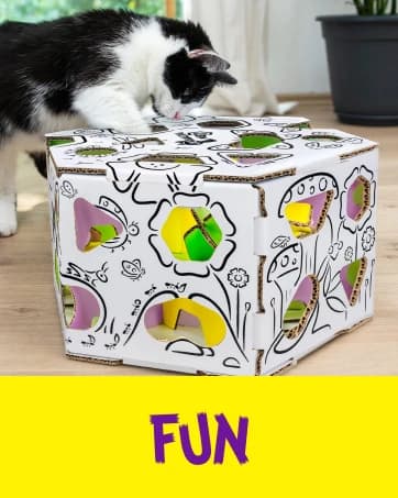 Sliders β Puzzle Toy for Indoor Cats β Treat Box Interactive Maze β Enrichment Feeder β Best Cat Toy Ever! β collection imagery
