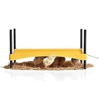 Ecoglow Safety 600 Chick or Duckling Brooder — collection imagery