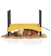 Ecoglow Safety 600 Chick or Duckling Brooder — collection imagery