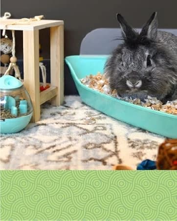 Eco Straw Rabbit Litter Pellets — collection imagery