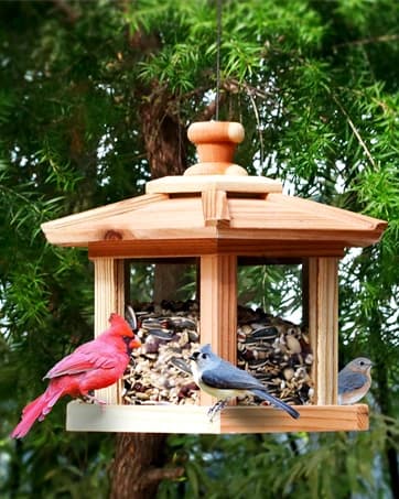 Squirrel-Proof Cedar Hopper Bird Feeder — collection imagery