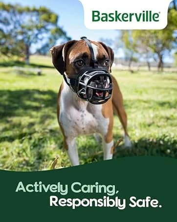 Crash Tested Dog Safety Harness | Size M — collection imagery