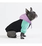 Dog Cooling Vest - Evaporative Summer Cooling — collection imagery