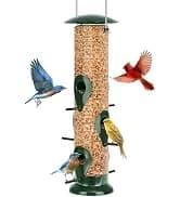 Glass Hummingbird Feeder for Outdoors Hanging — collection imagery