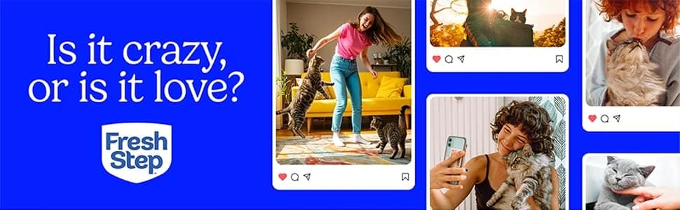 Advanced Odor Shield Clumping Cat Litter with Gain — collection imagery