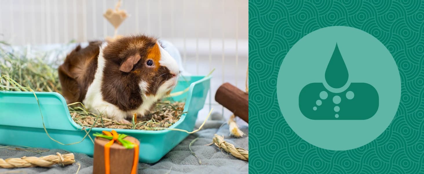 Eco Straw Rabbit Litter Pellets — collection imagery
