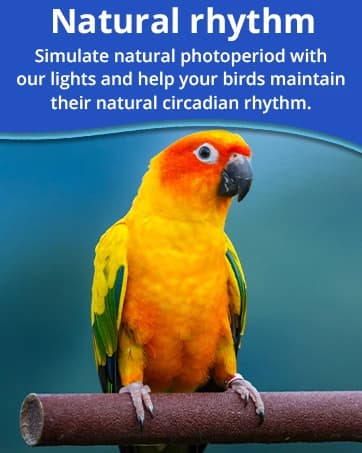 HappyBird Lighting Bird Cage Light with Chew Guard - Full Spectrum LED Pet Light - Simulates Natural — collection imagery