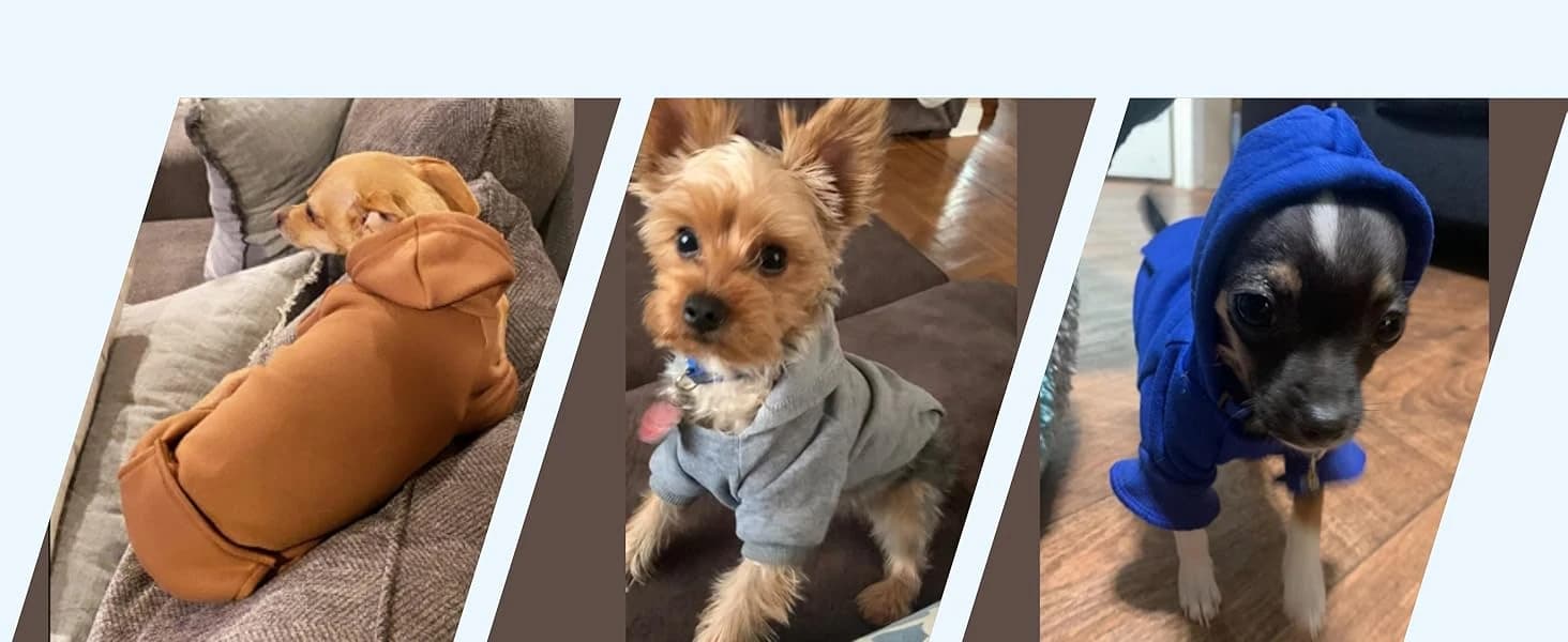 Soft Dog Hoodies for Small Dogs — collection imagery