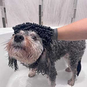 Clean Paws Chenille Microfiber Dog Towel Mitt - Super Absorbent — collection imagery