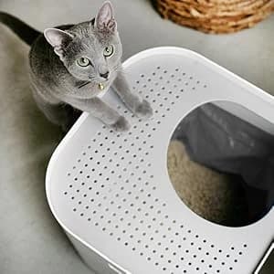 Top-Entry Cat Litter Box — Leak-Proof — Easy access.