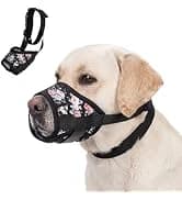 Dog Backpack for Small Dogs to Wear — collection imagery