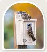 Metal Bird Feeders for Outdoors Hanging — collection imagery
